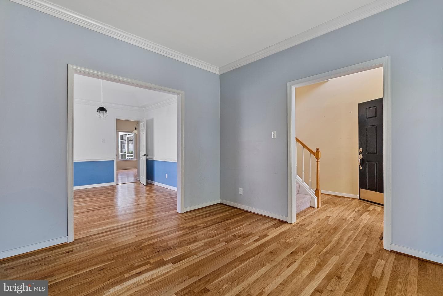 10188 Spring Ivy Lane photo 11
