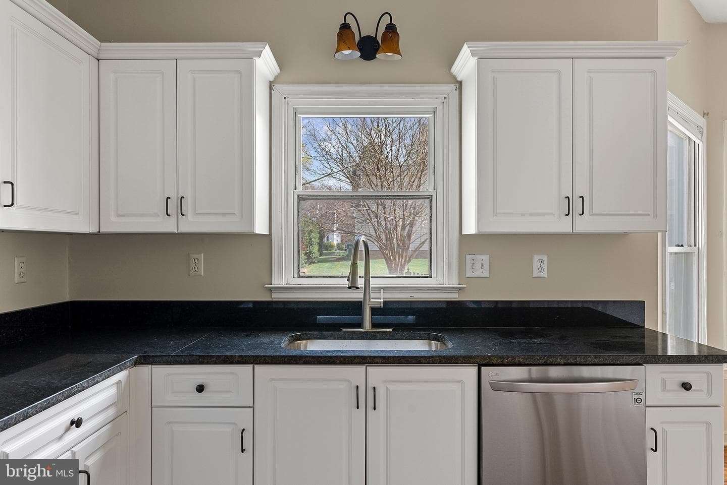 10188 Spring Ivy Lane photo 18
