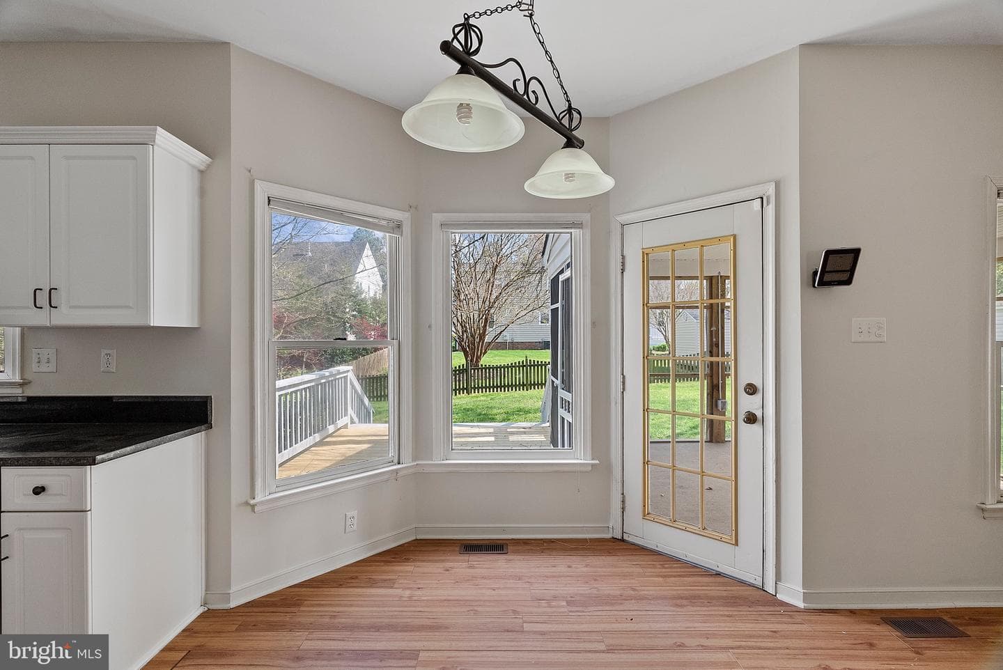 10188 Spring Ivy Lane photo 20