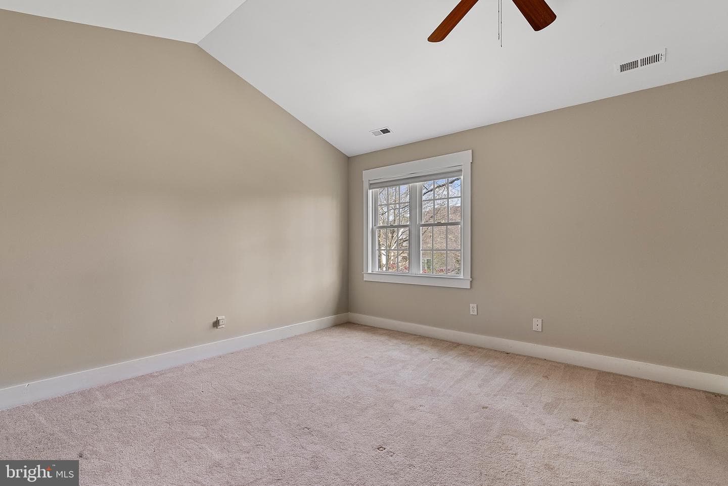10188 Spring Ivy Lane photo 42