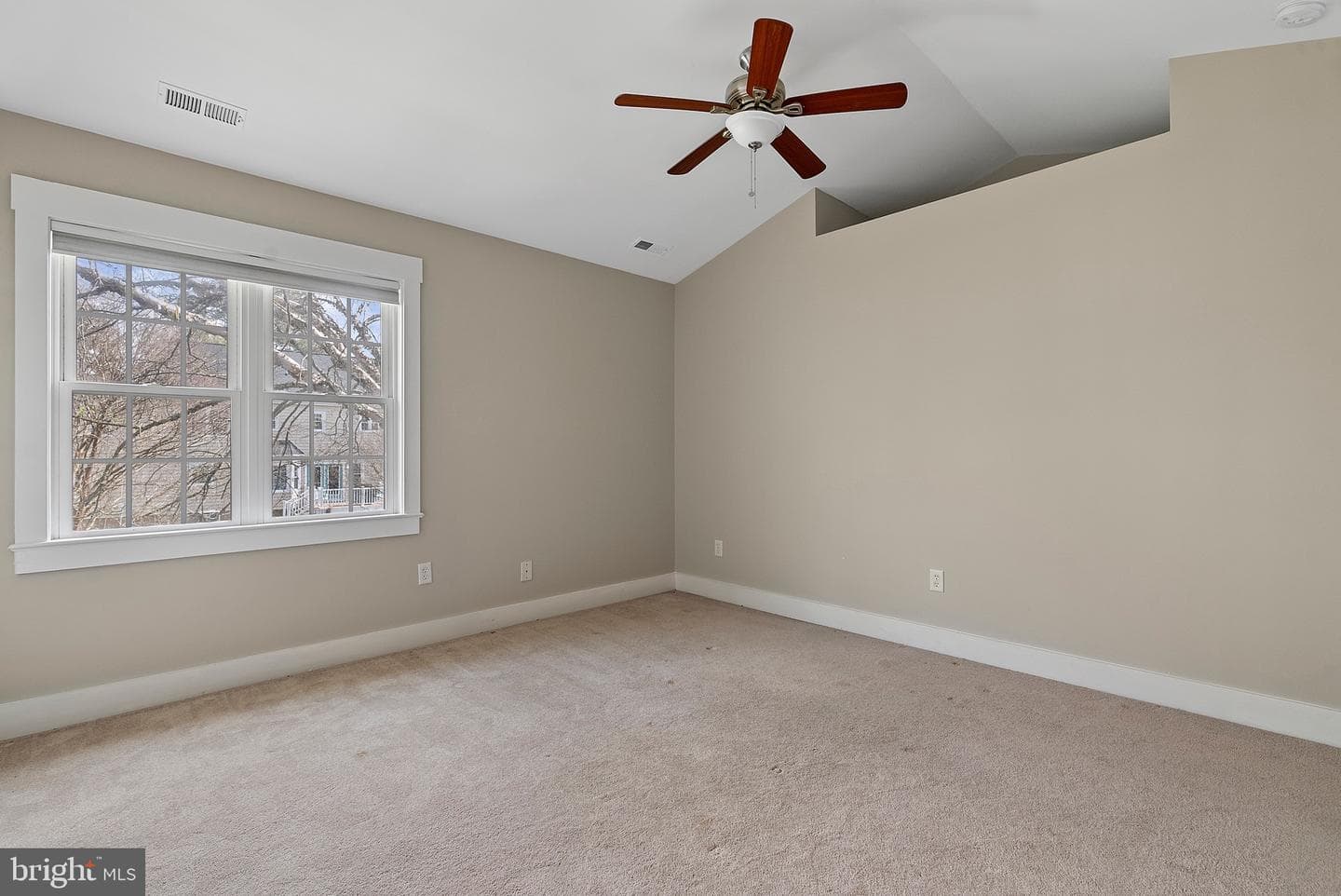 10188 Spring Ivy Lane photo 44