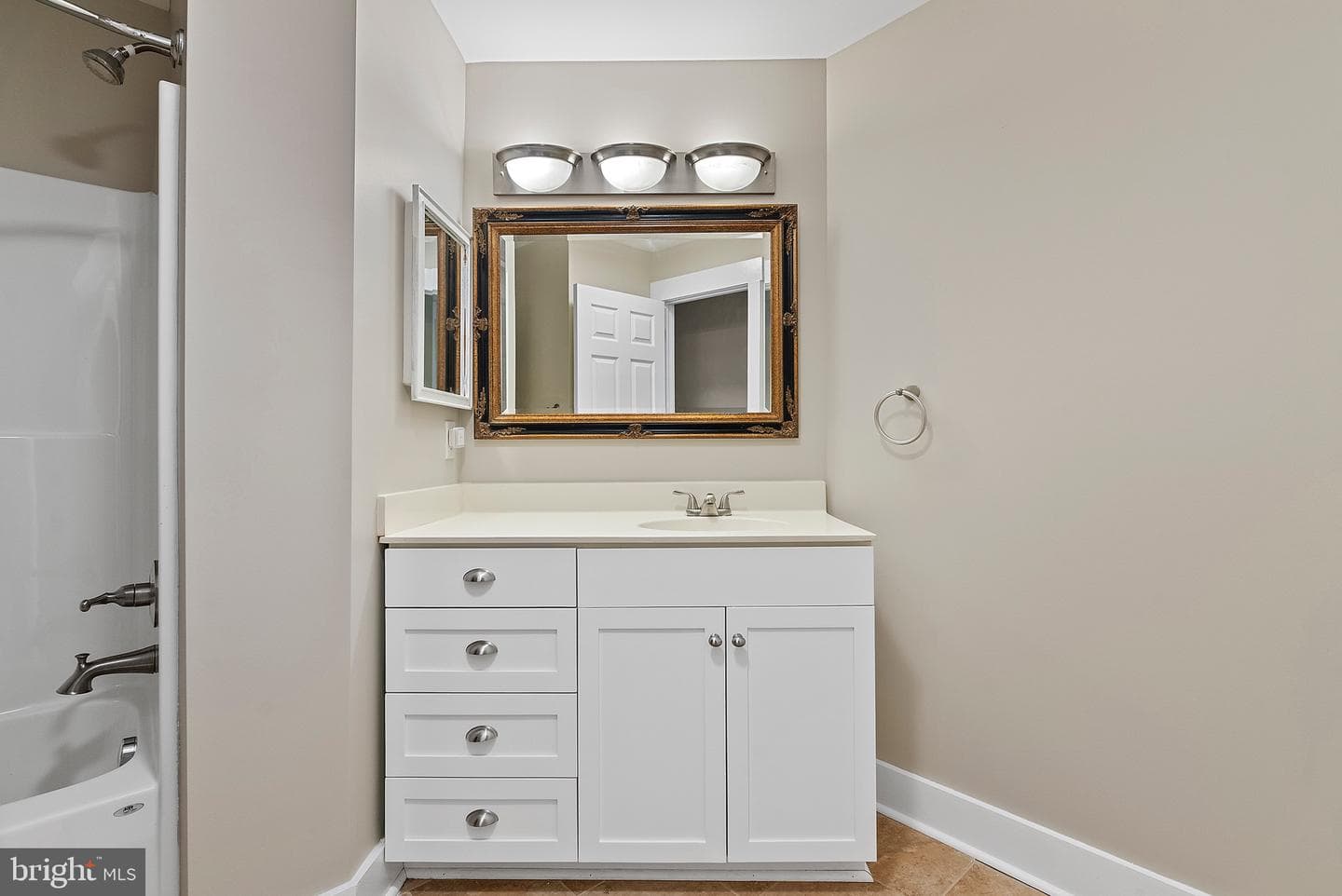 10188 Spring Ivy Lane photo 54