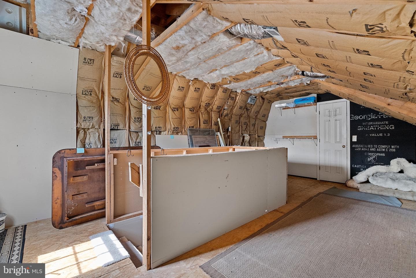 10188 Spring Ivy Lane photo 59