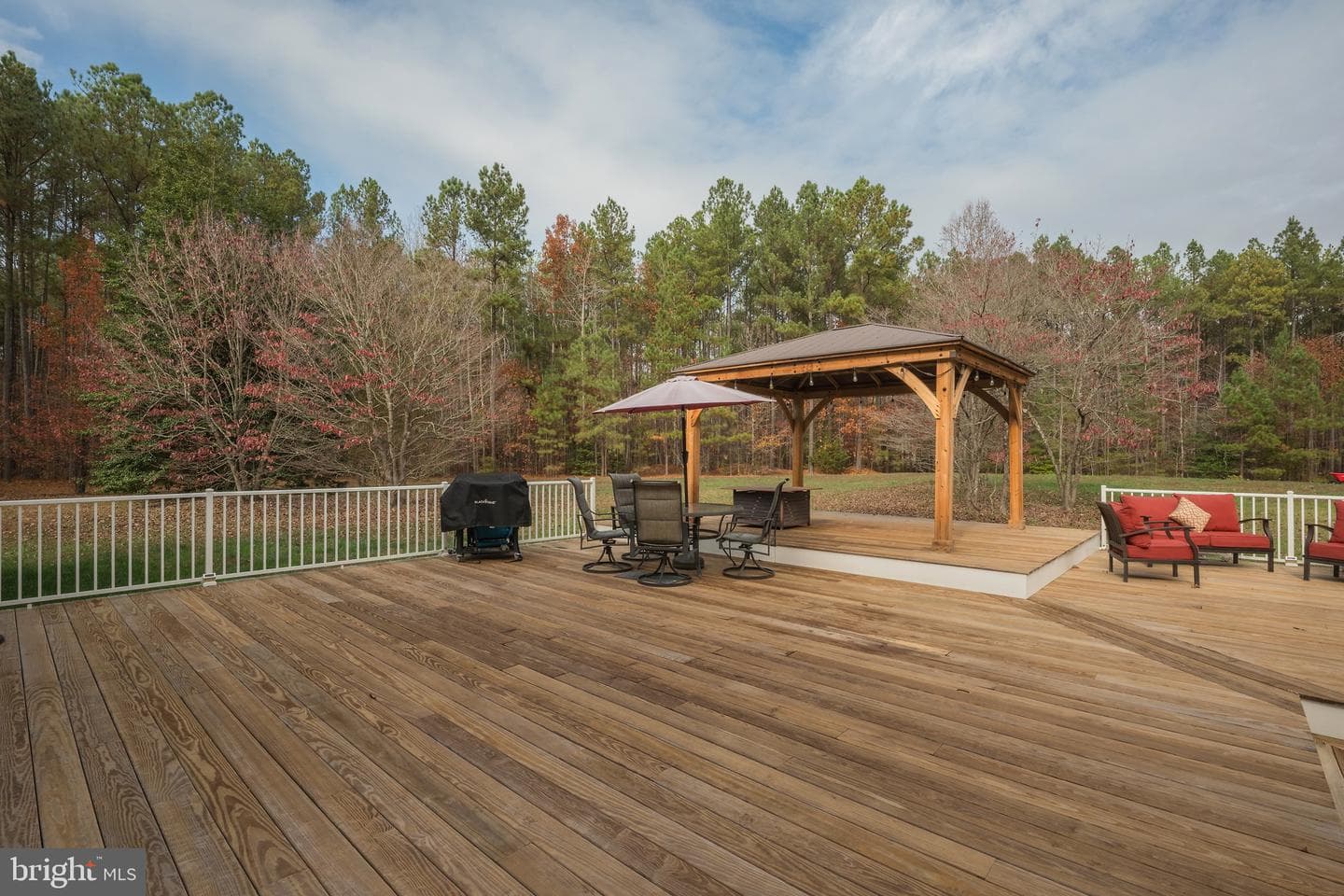 16166 Pug Swamp Lane photo 45