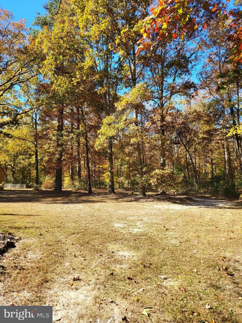 13427 Hanover Courthouse Road photo 24