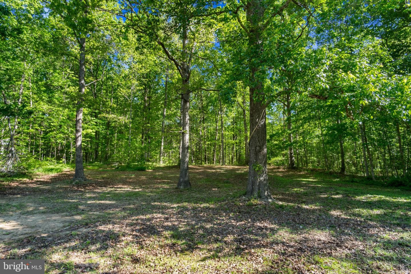 14408 Old Ridge Road photo 25