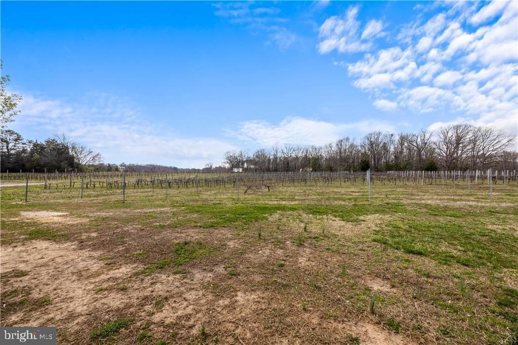 18185 Narrow Path Trail photo 45