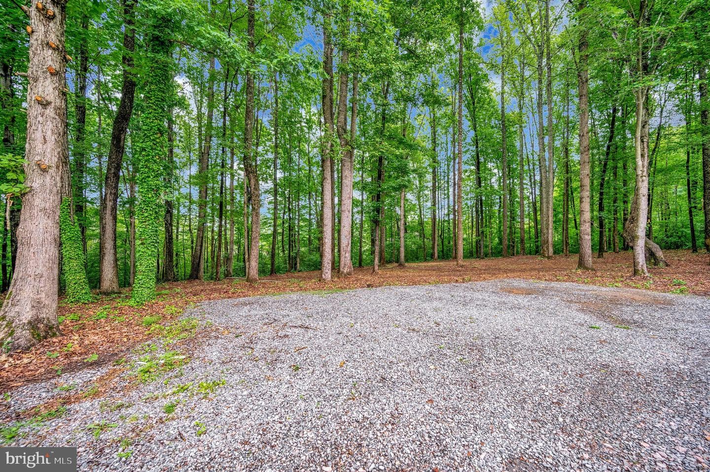 15440 Old Ridge Road photo 9