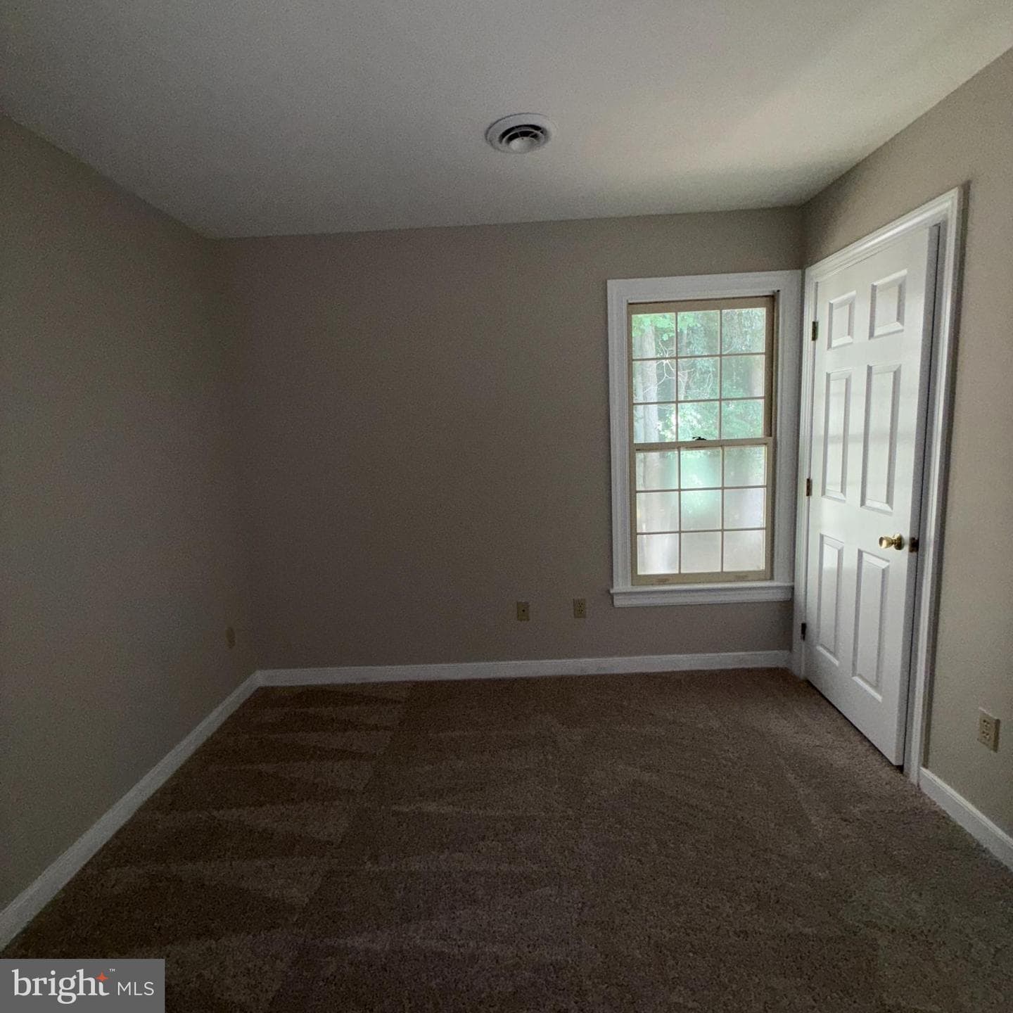 7362 River Pine Drive photo 22