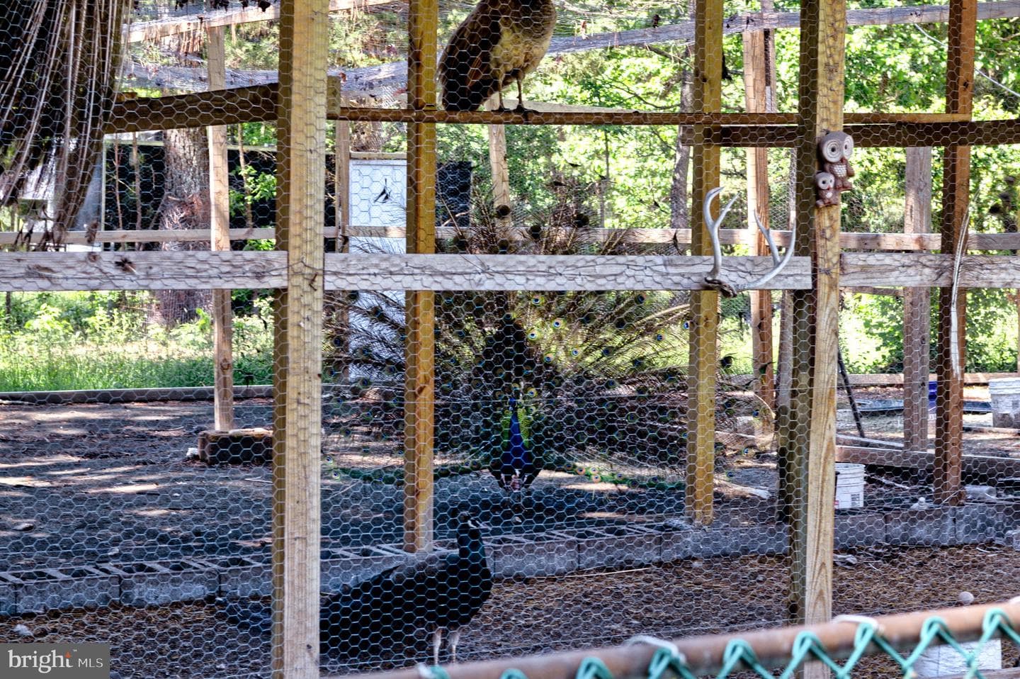 10439 Ashcake Road photo 22