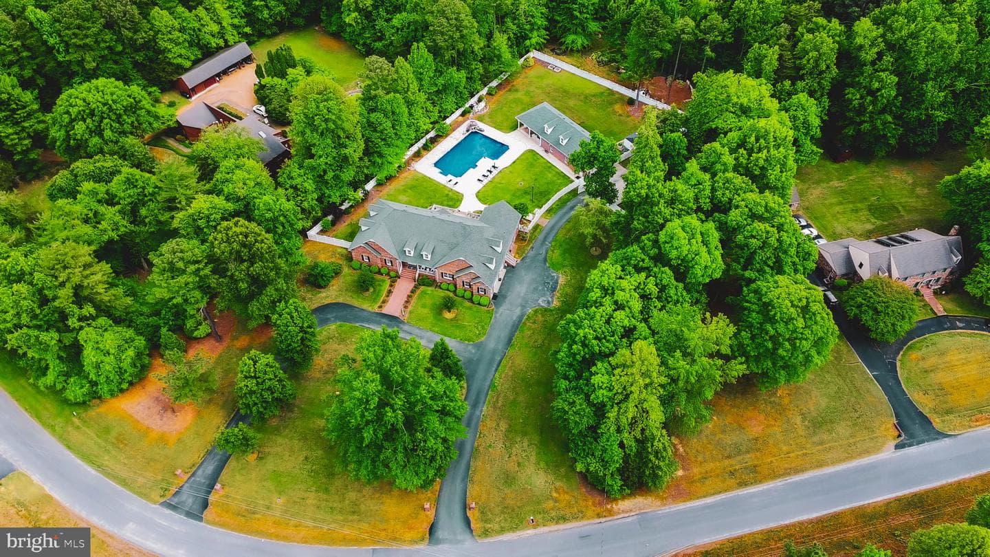 11029 Brookhollow Drive photo 8