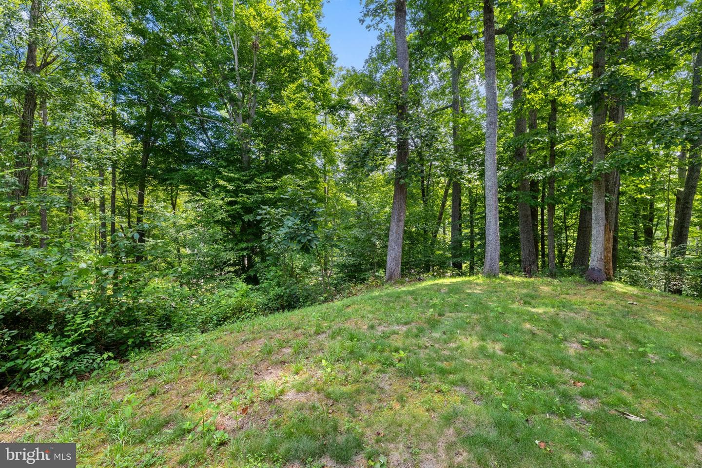 12439 N Oaks Drive photo 39