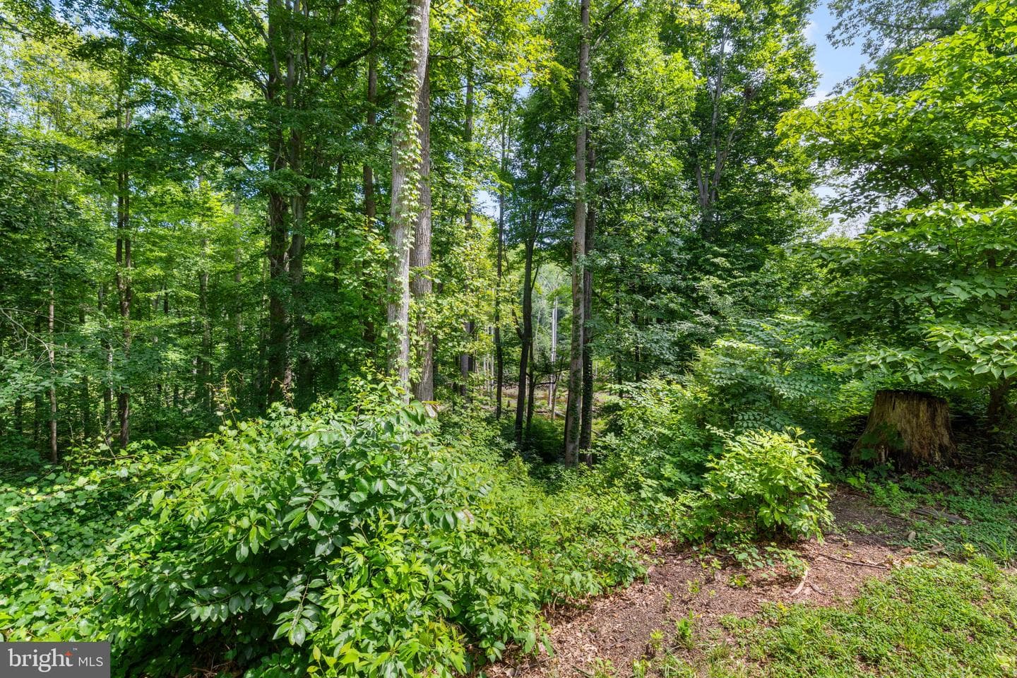 12439 N Oaks Drive photo 41