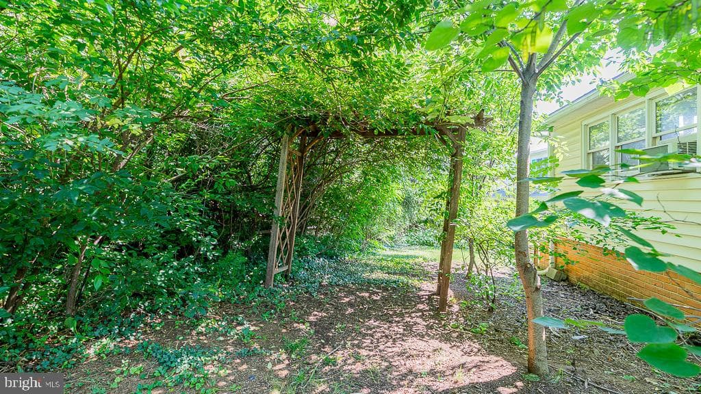 451 Myers Avenue photo 66