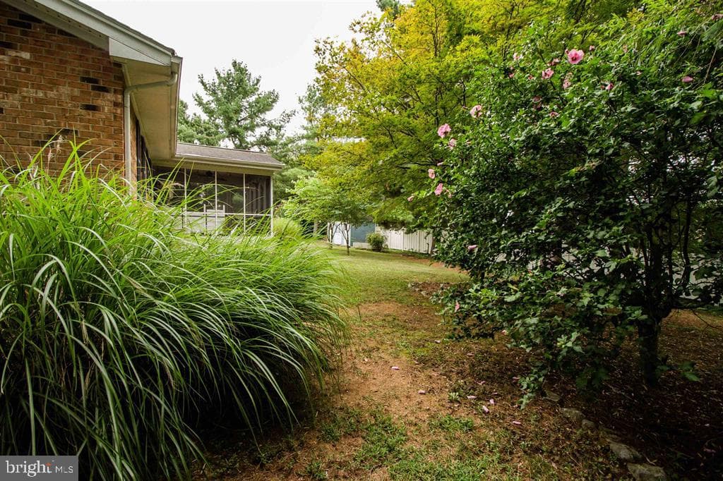 16 Tamela Court photo 49