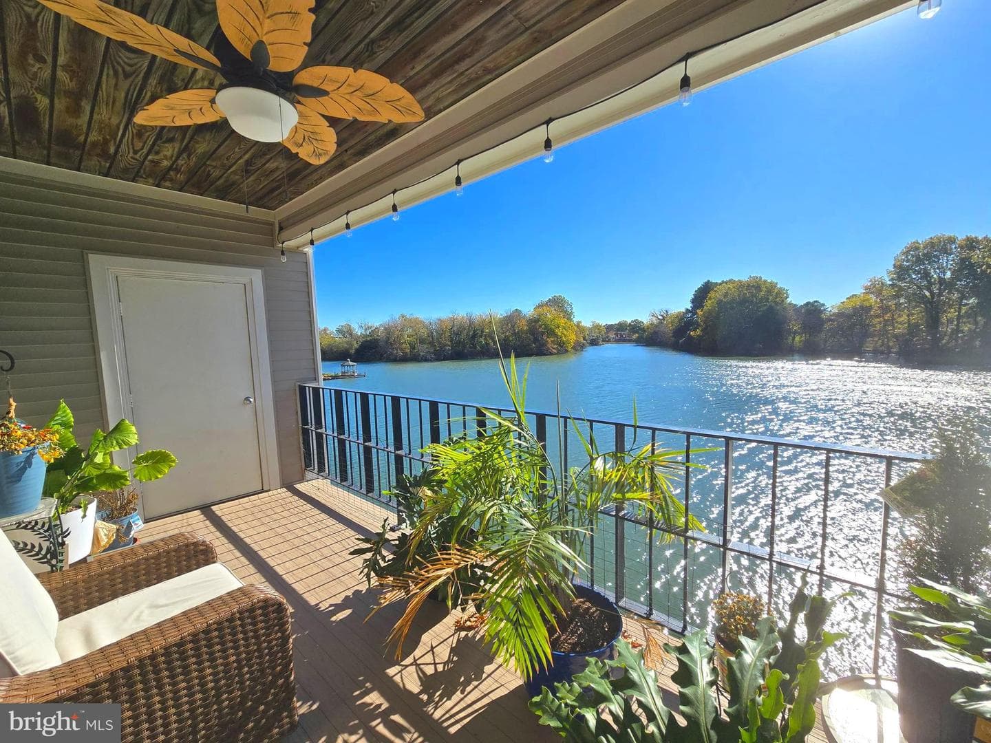 30 Brough Lane #203 photo 3