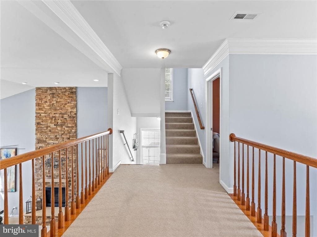 5129 Austin Healey Drive photo 33