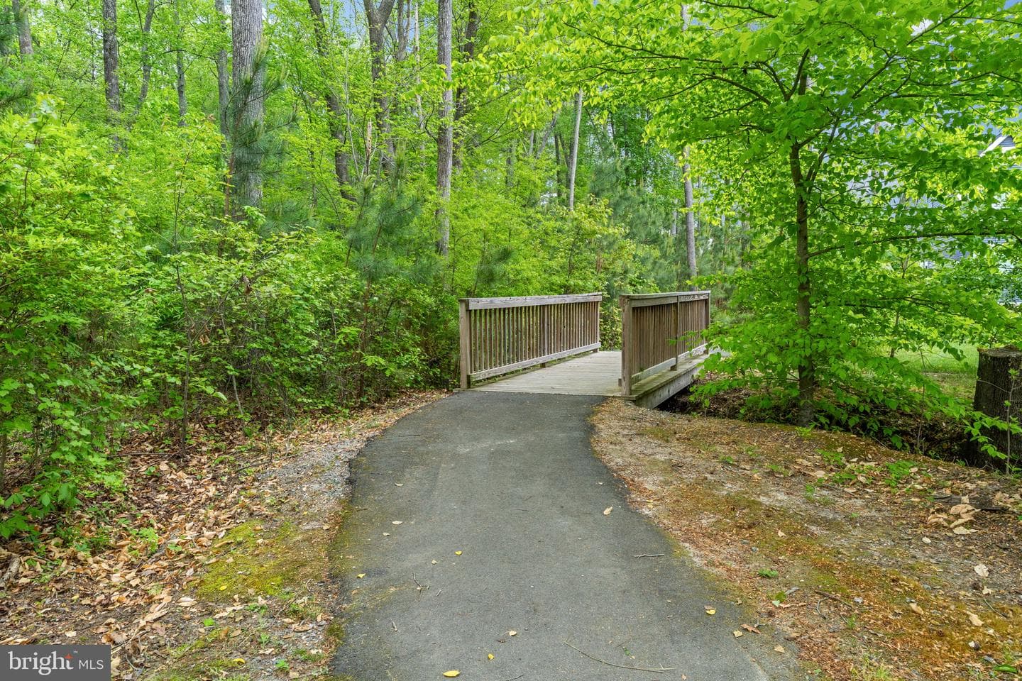 10818 Porter Park Lane photo 44