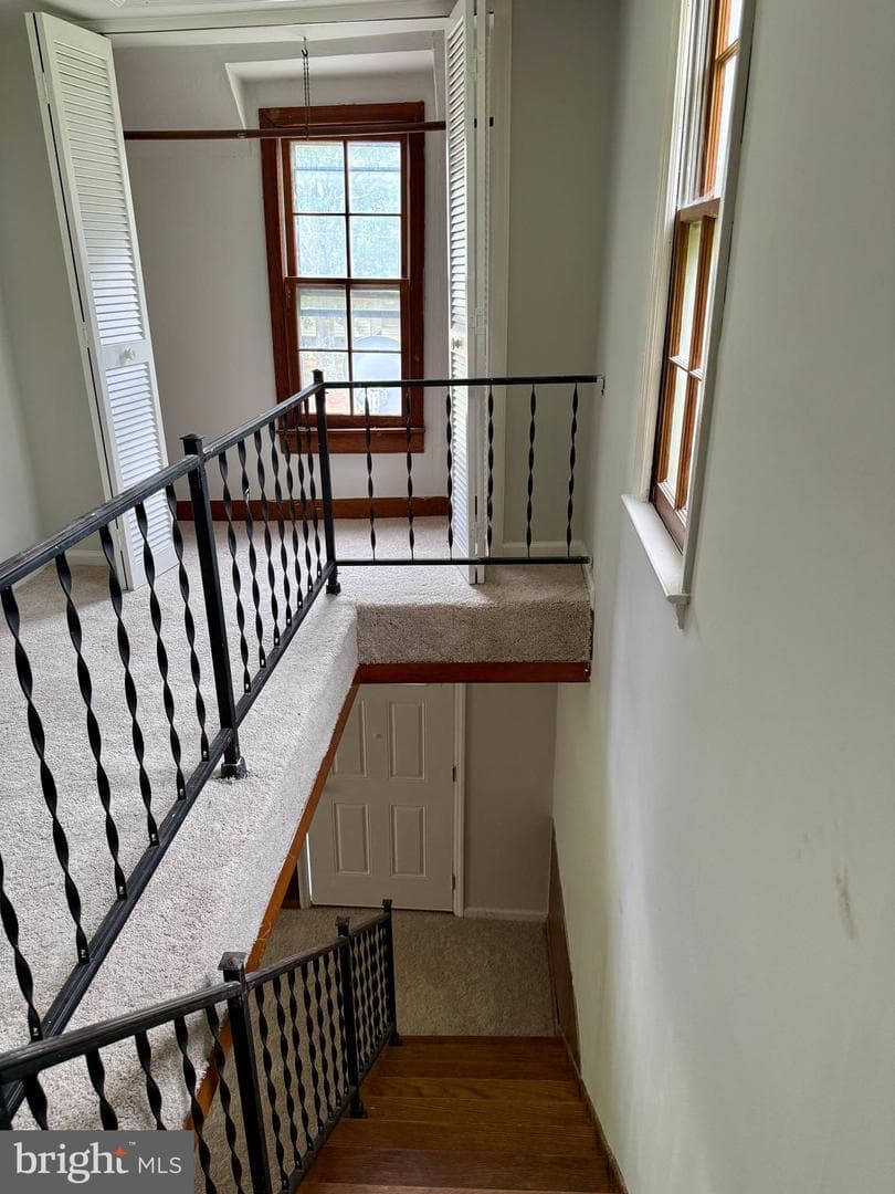 1031 Macdonald Drive photo 14