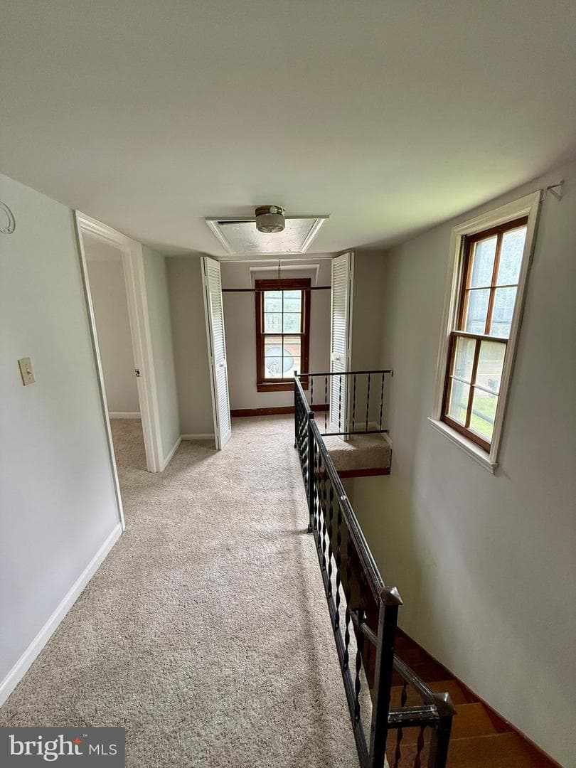 1031 Macdonald Drive photo 38