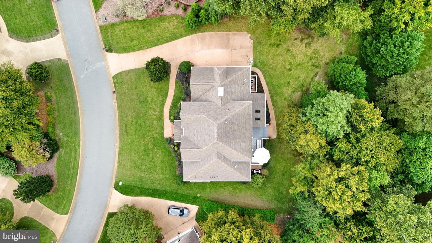 105 Blenheim photo 62