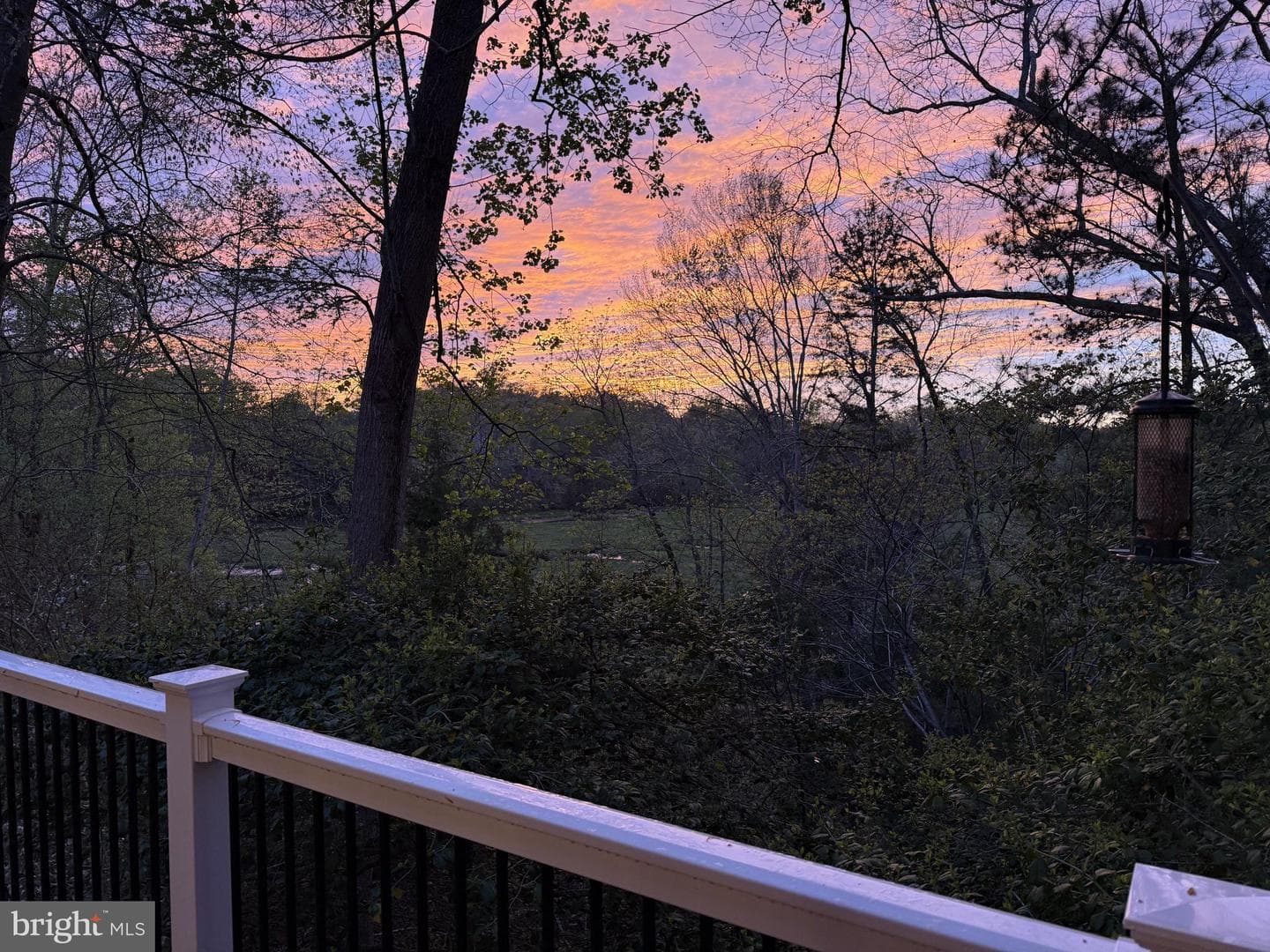 20 The Palisades photo 4
