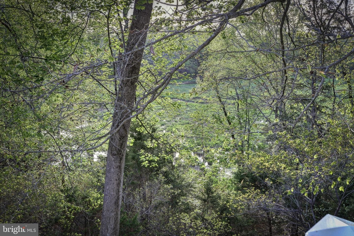 20 The Palisades photo 58