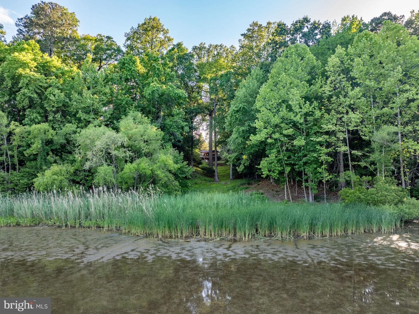 112 The Colony photo 69