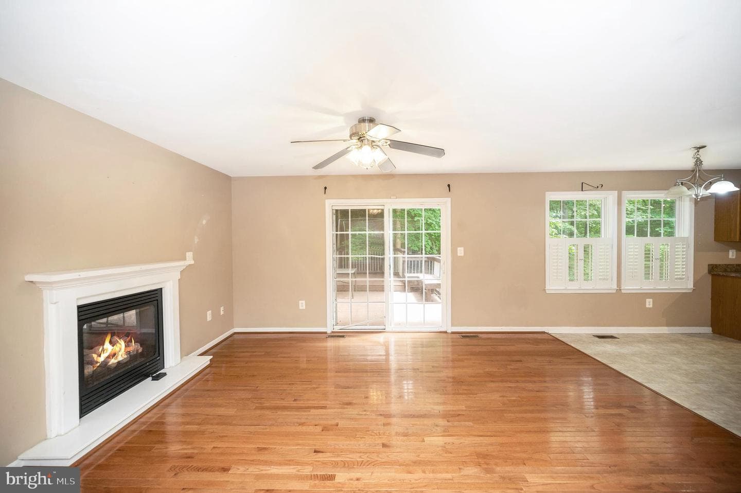10067 Adams Drive photo 12