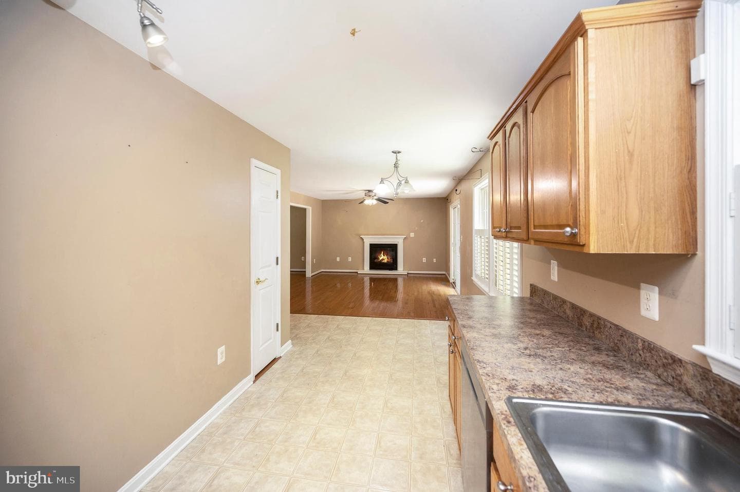 10067 Adams Drive photo 20