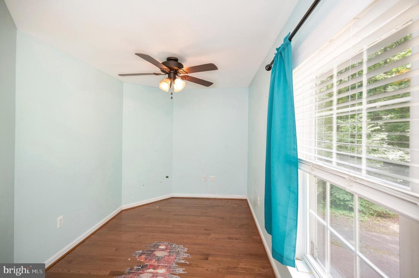 10067 Adams Drive photo 22