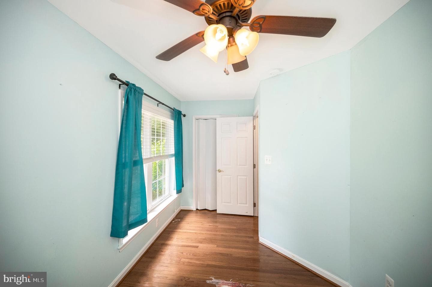 10067 Adams Drive photo 23