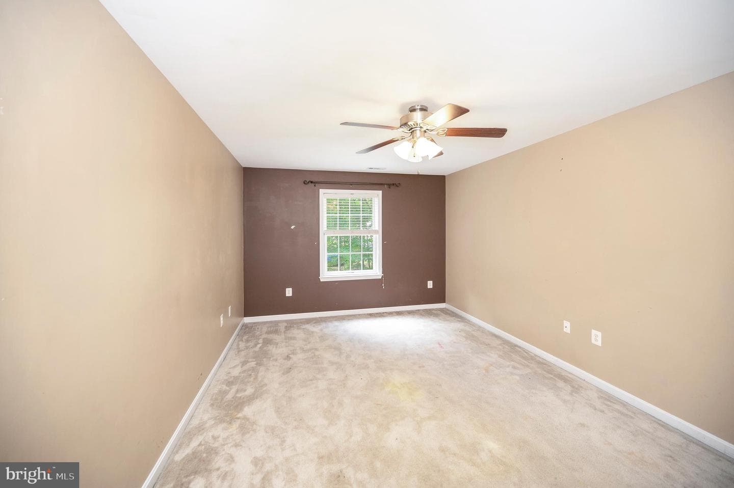 10067 Adams Drive photo 31