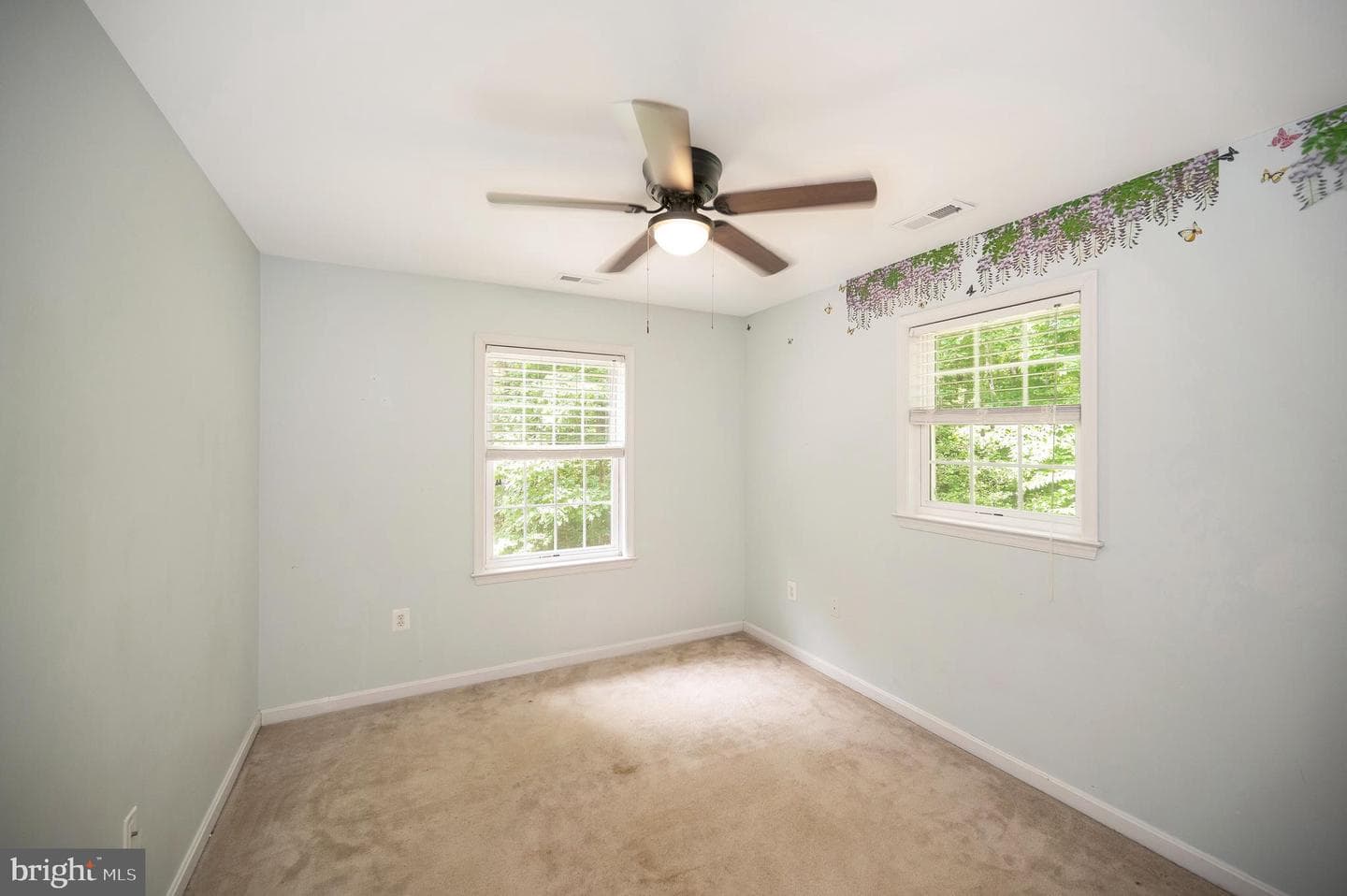 10067 Adams Drive photo 37