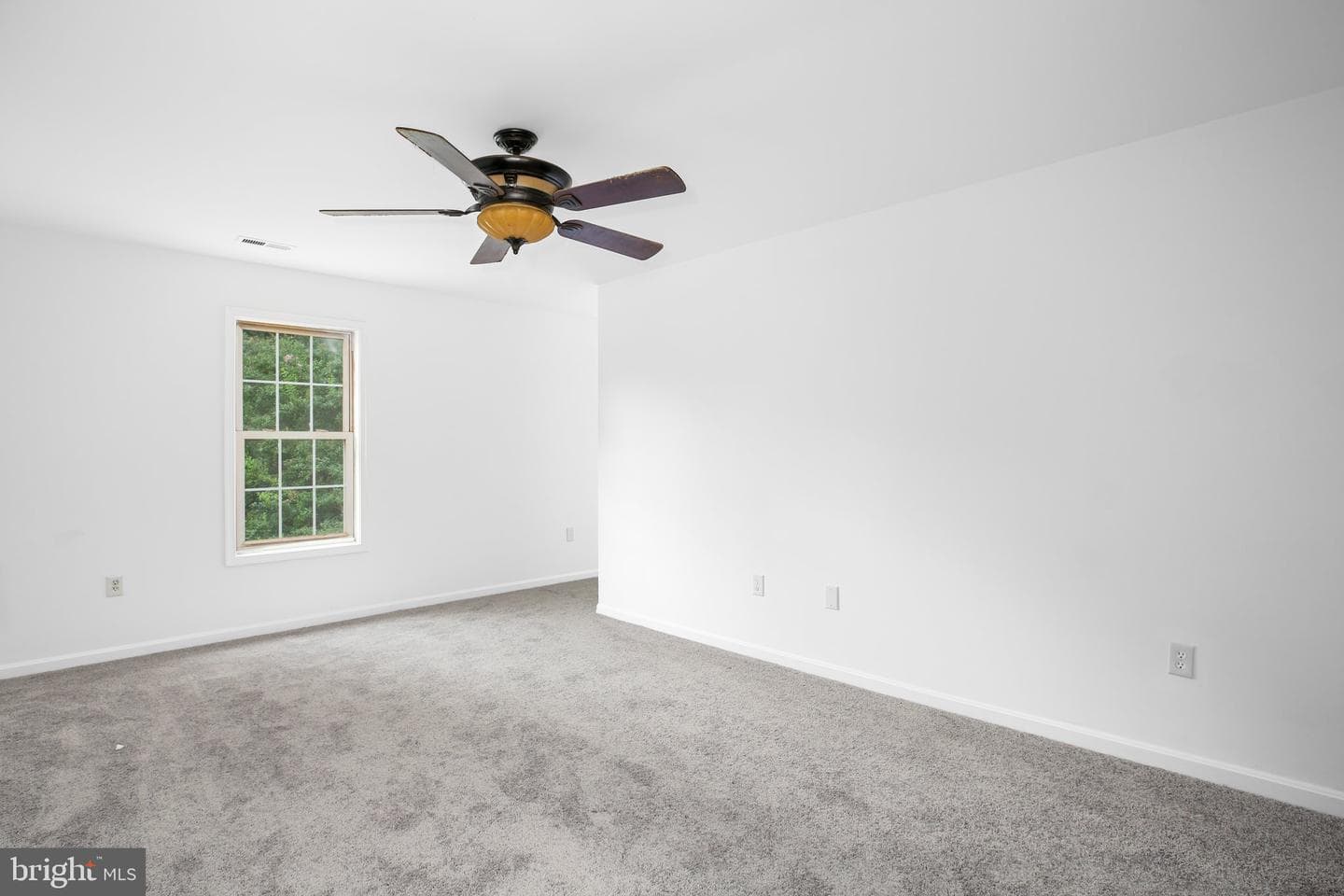 10429 Hutchison Lane photo 27