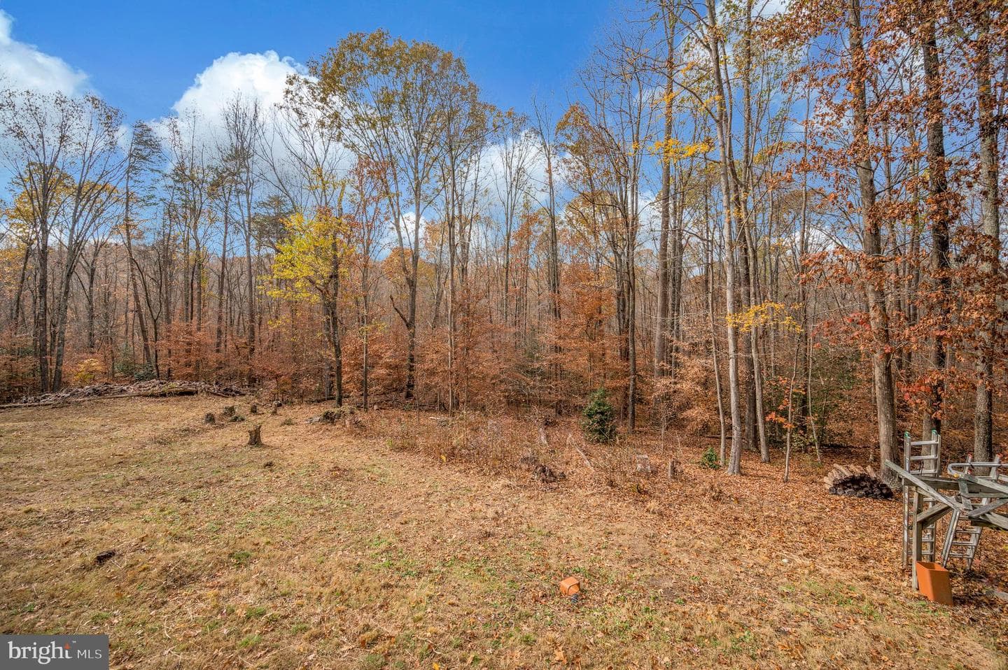 4099 Red Gate Lane photo 11