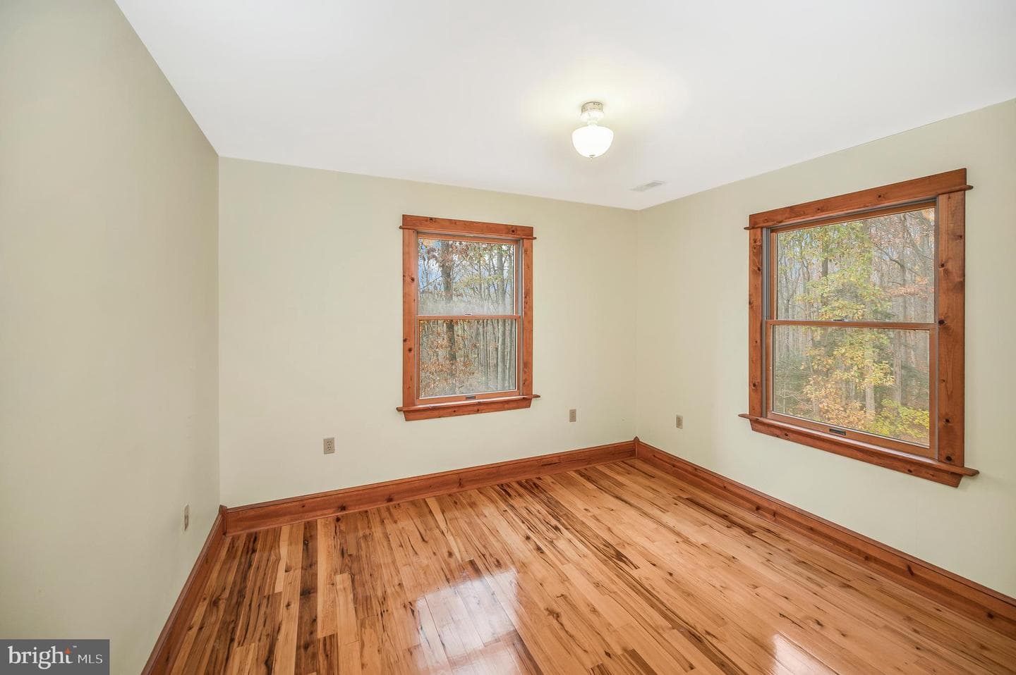 4099 Red Gate Lane photo 26