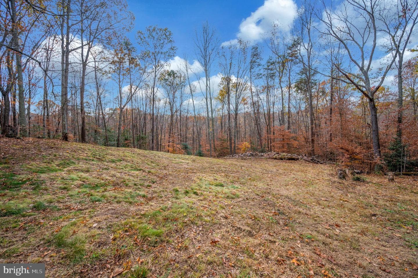 4099 Red Gate Lane photo 34