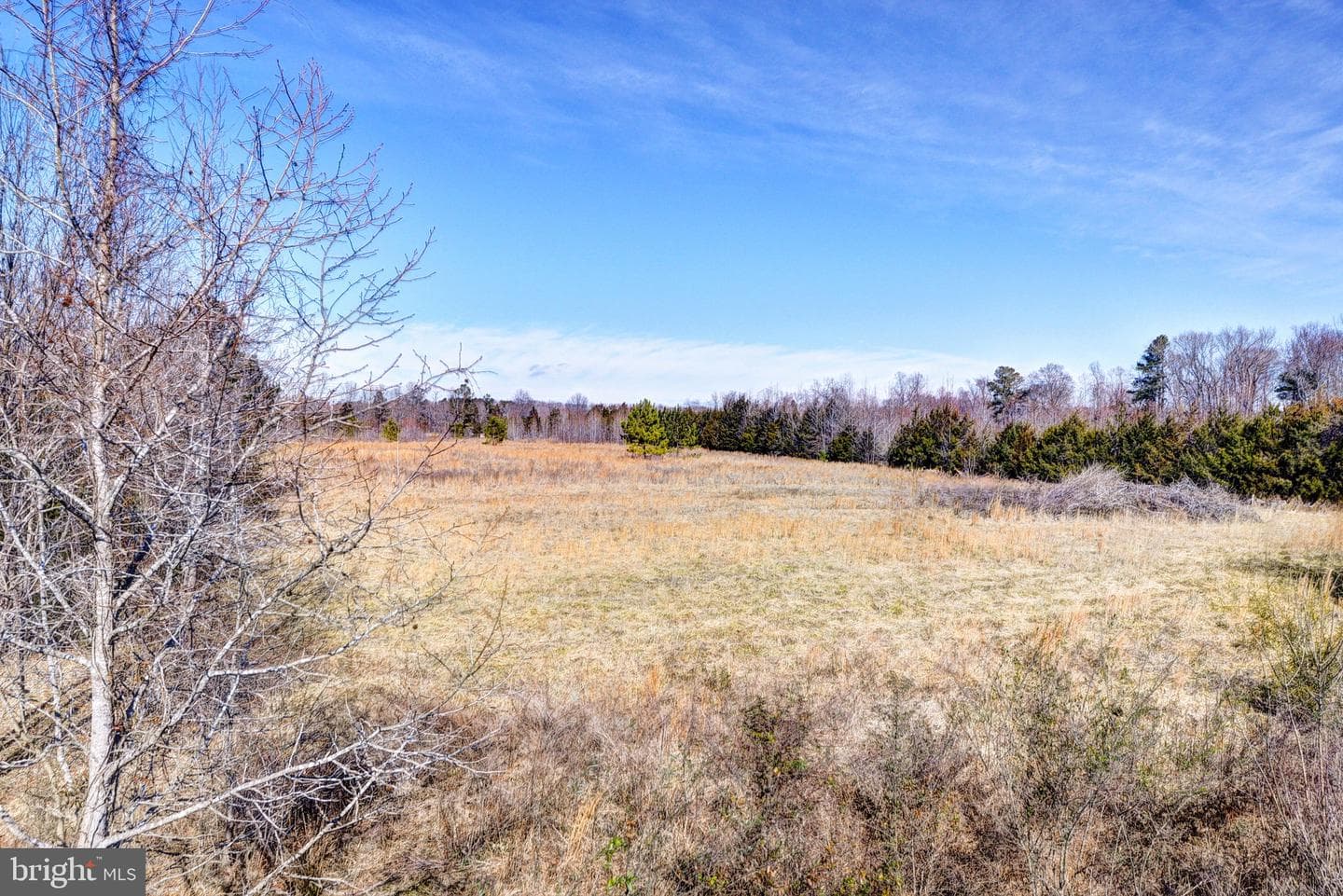 15318 James Madison Parkway photo 103