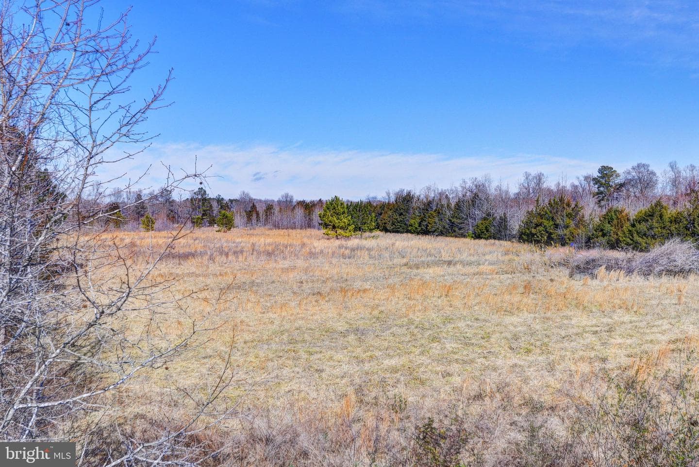 15318 James Madison Parkway photo 104