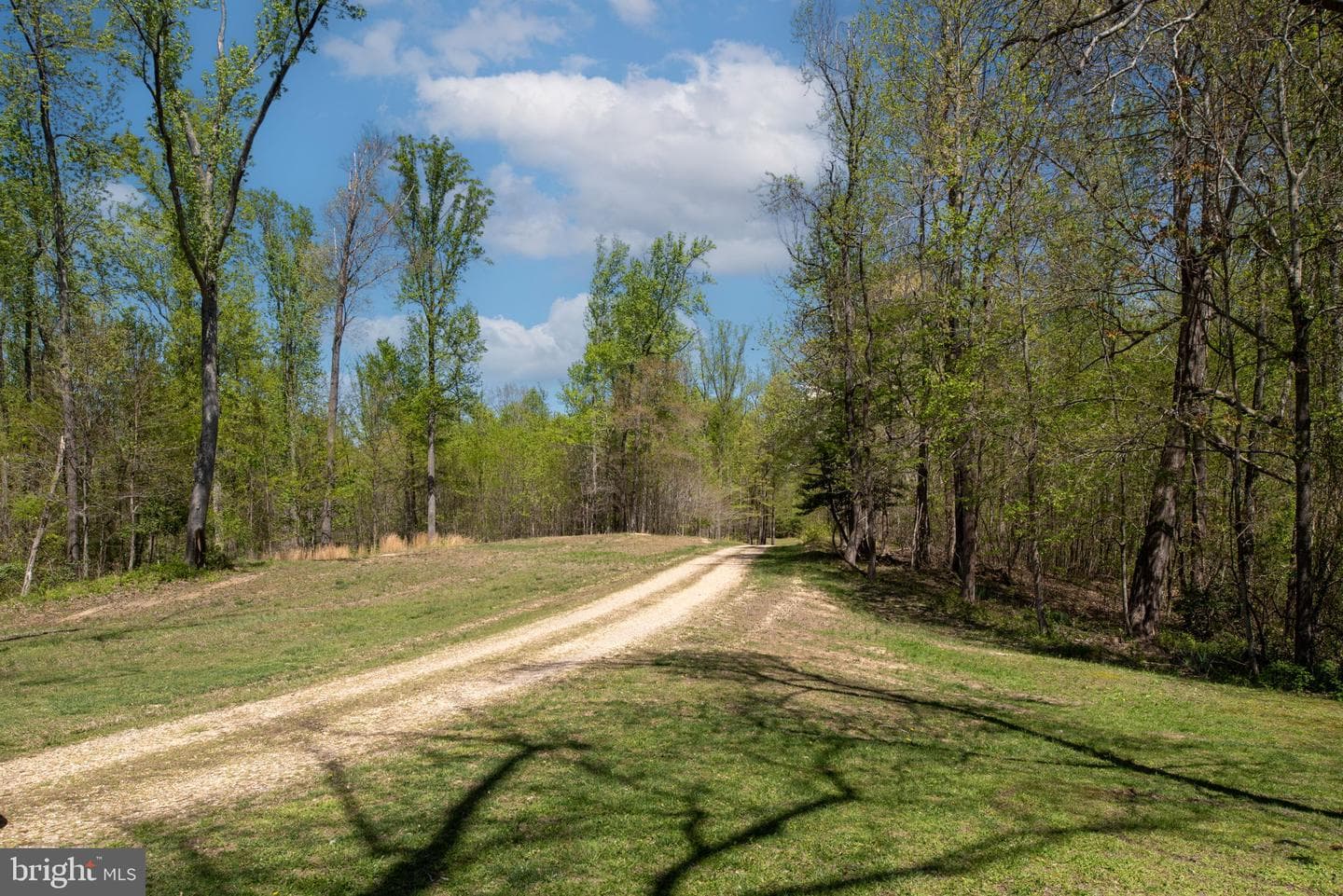 6042 Caledon Road photo 10