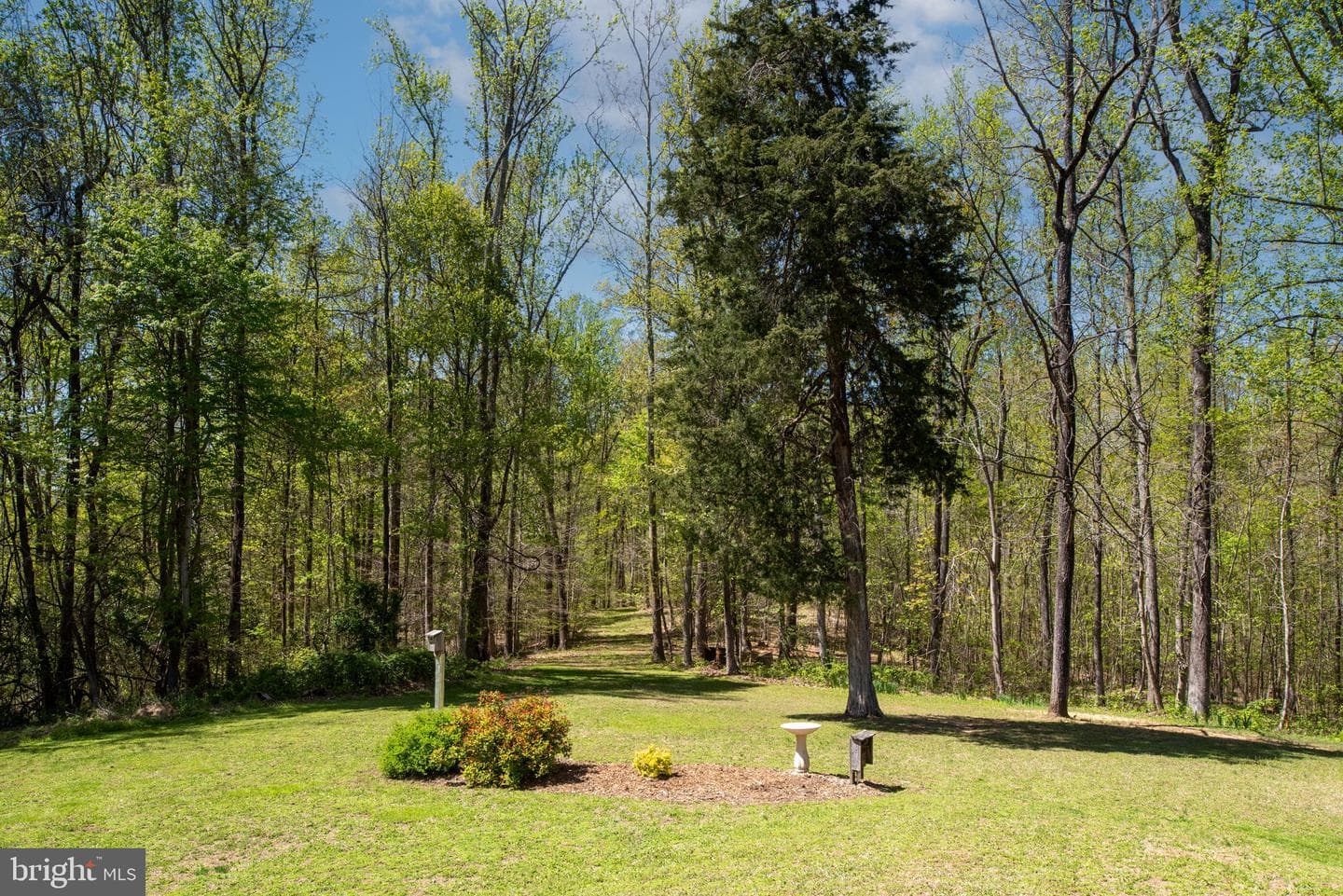 6042 Caledon Road photo 17