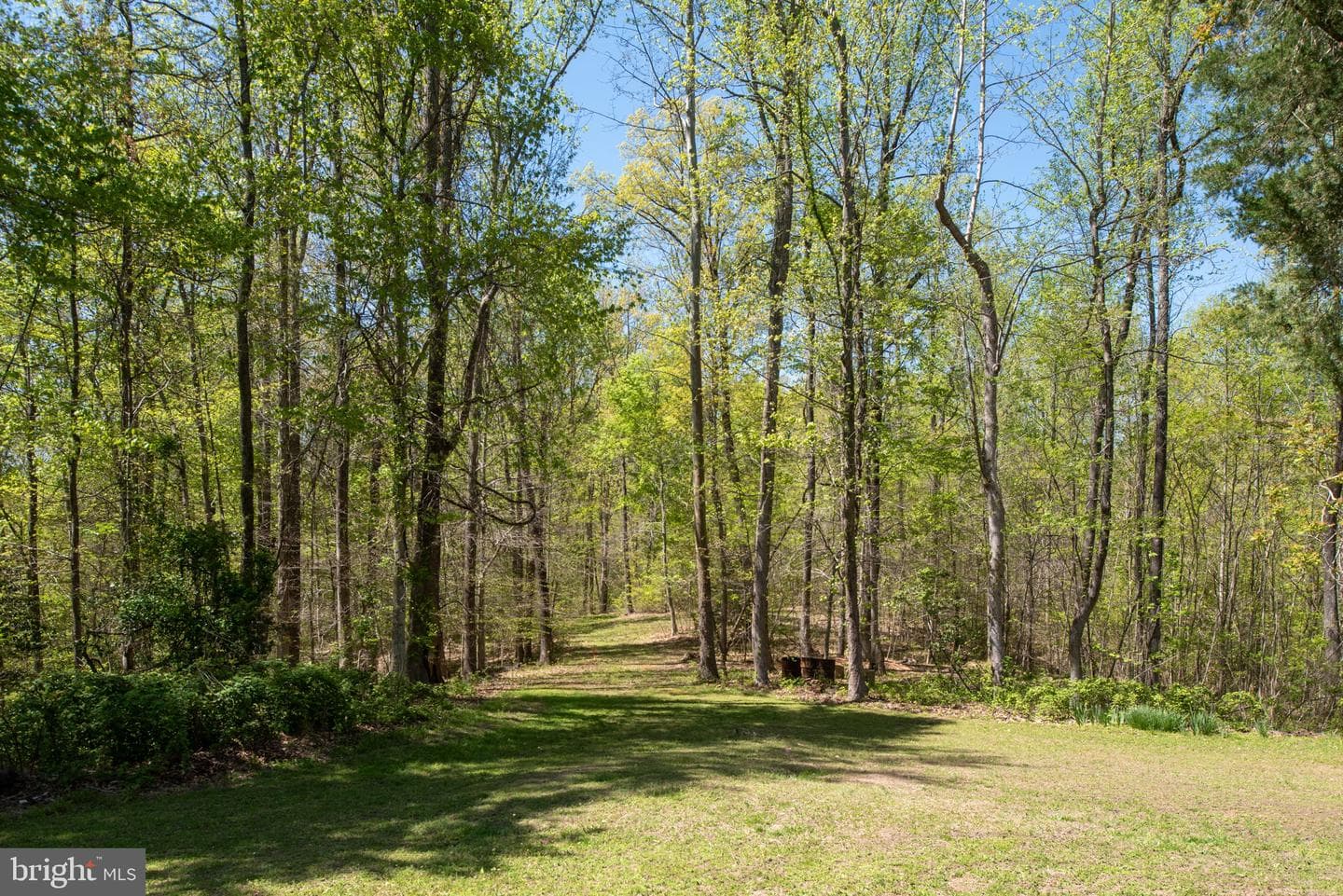 6042 Caledon Road photo 67