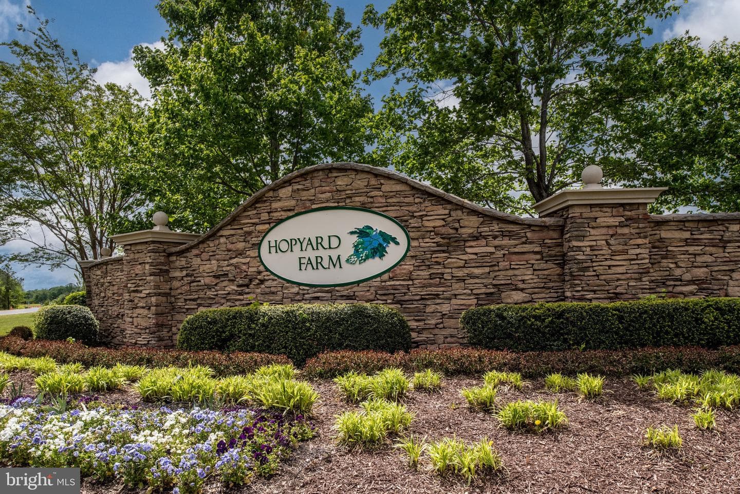 11309 Emerald Drive photo 84