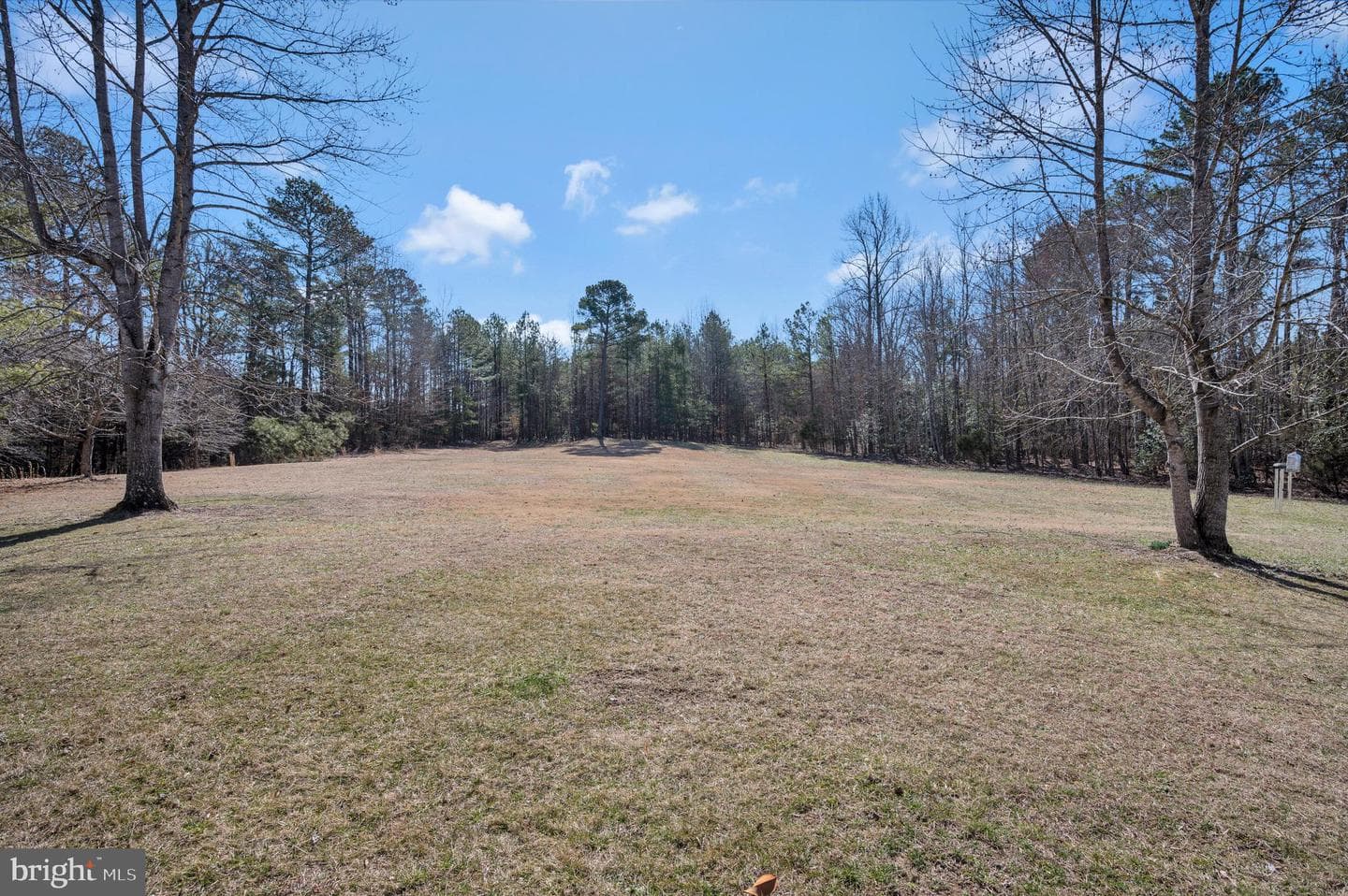 15389 Big Timber Road photo 55