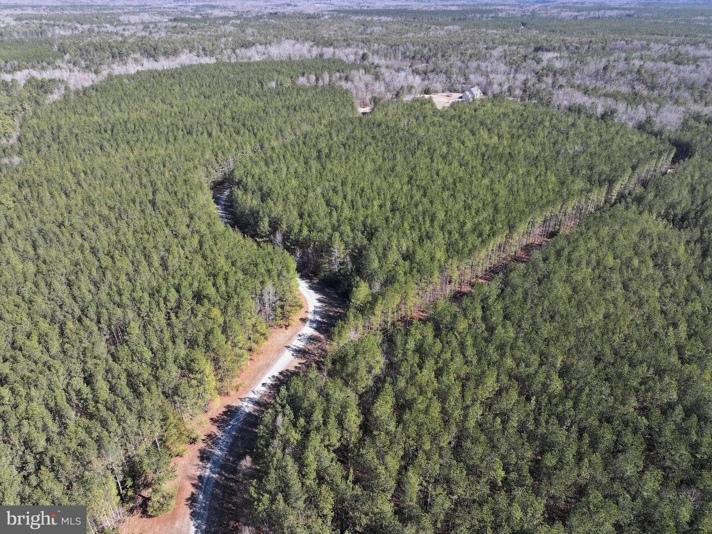 15389 Big Timber Road photo 66
