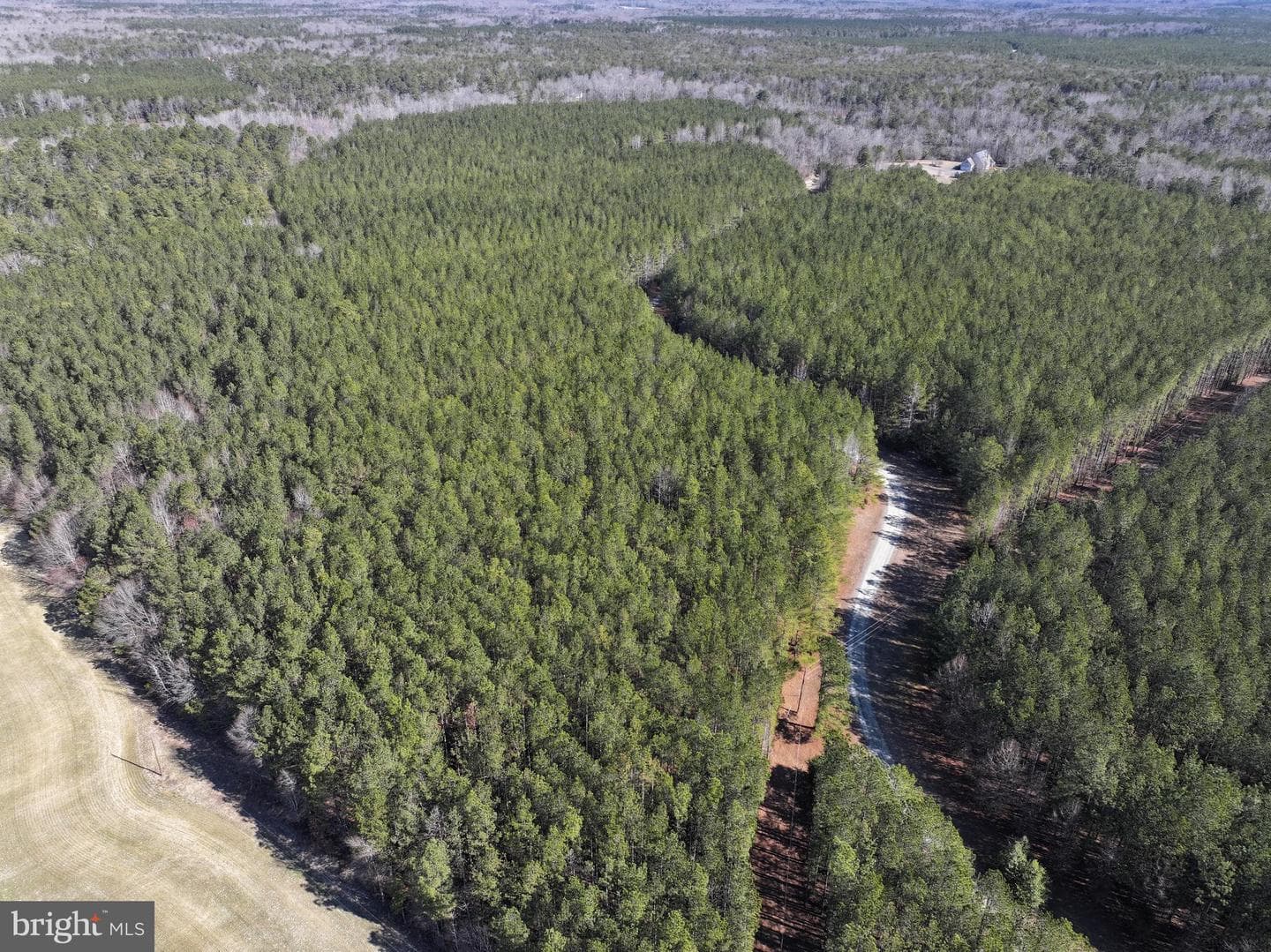 15389 Big Timber Road photo 67