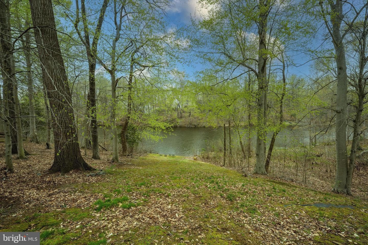 6264 Wheeler Drive photo 7