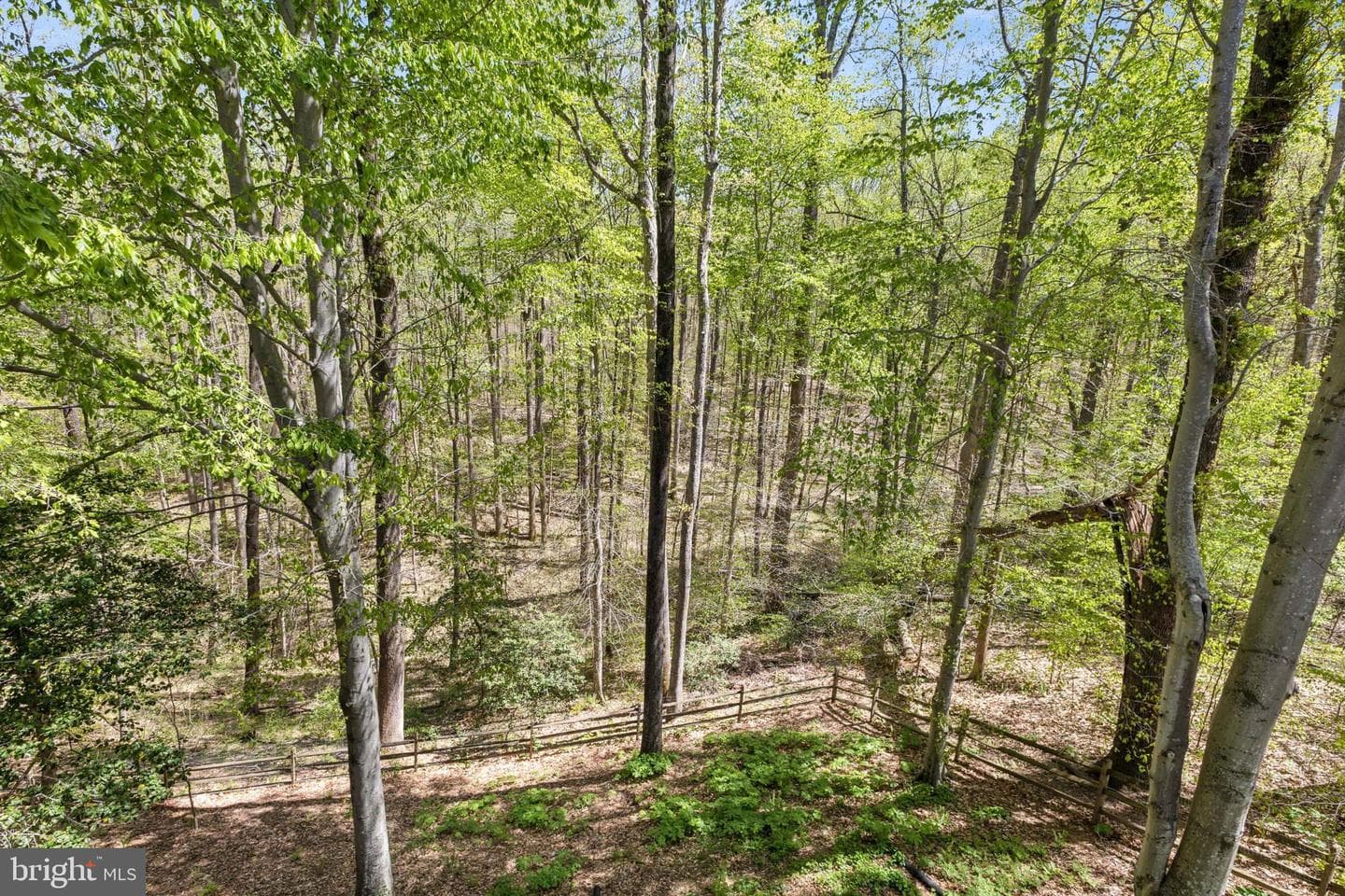 8155 Reagan Drive photo 42