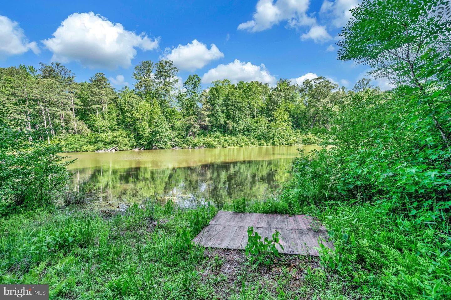 6338 Wheeler Drive photo 55
